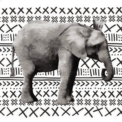 Greyscale Elephant King 2 - Wrapped Canvas Print