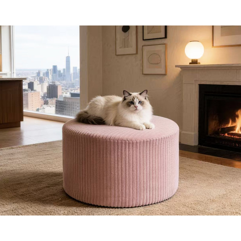 Velours côtelé rose avec conception entièrement compressée, aucun assemblage requis, utilisation polyvalente comme siège ou extension supplémentaire, taille compacte pour les petits espaces et les intérieurs modernes, 24 po de largeur, 15 po de hauteur, 9 lb,