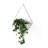 Trigg Planter Wall Decor-36905908