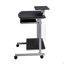 Chariot d'ordinateur compact avec rangement, graphite