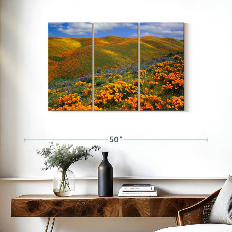 Alvord Antelope Valley Poppy Reserve, 24" H x 38" W