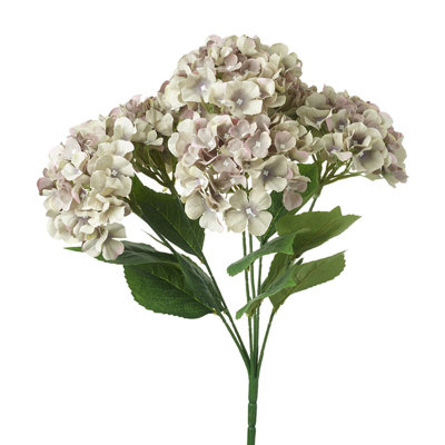 Hydrangea Arrangement