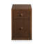 2 - Drawer File Cabinet