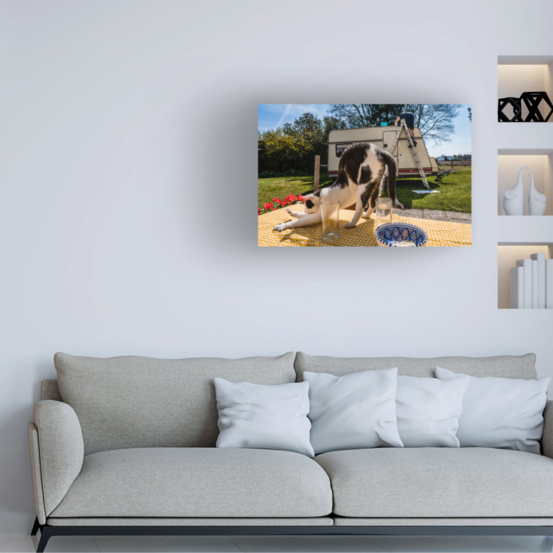 Art sur toile Kristof Claeys, H 30 po x l 47 po
