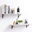 Nicoli 2 Piece Floating Shelf