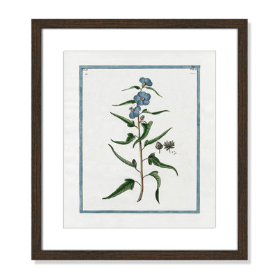 Colombe "Shabby Elegance Botanical I" Print