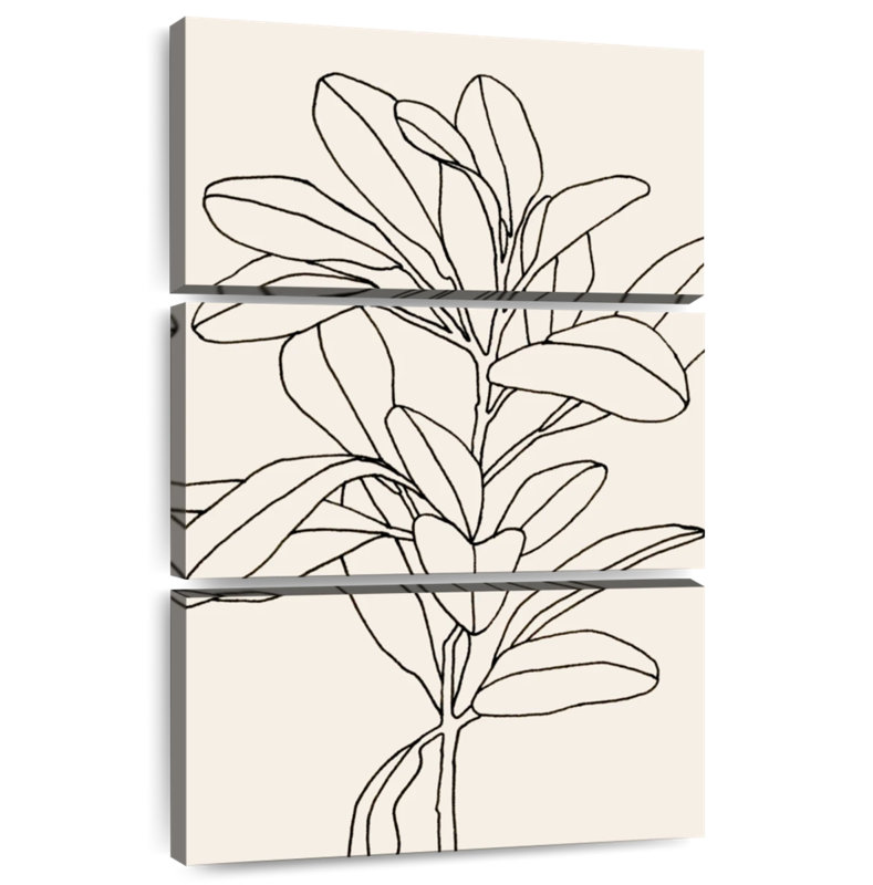 Harnek Olive Branch Contour II, H 50 po x l 32 po