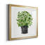 «Herb Garden I», ensemble de 2 reproductions d'art-118507611-118507610-118507607