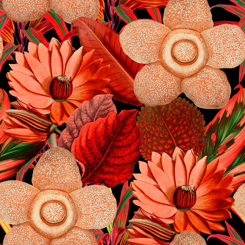 Florilegium Floral Wallpaper Roll, Red/Black