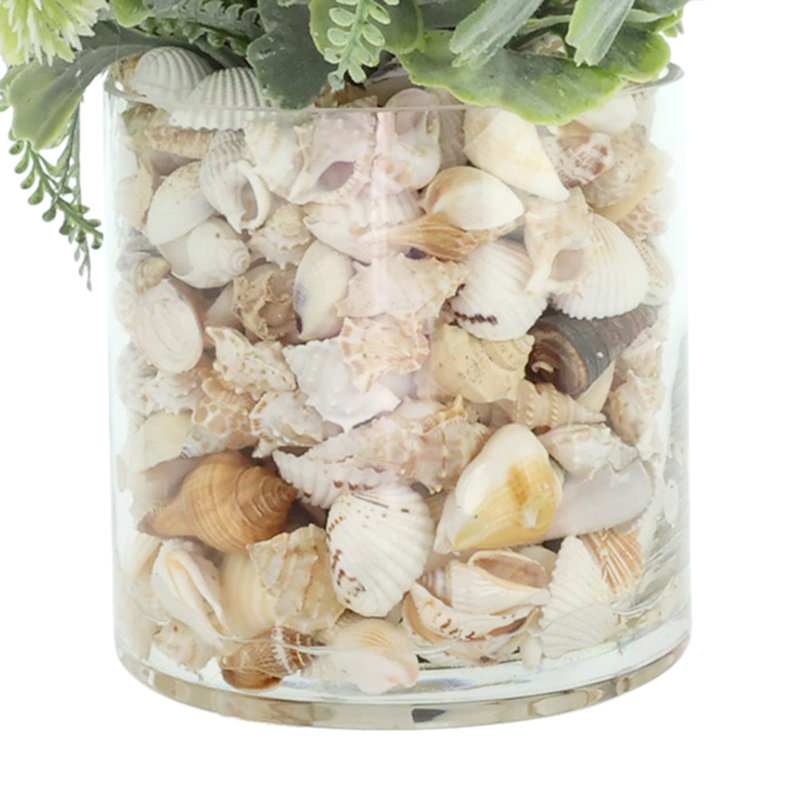 Eucalyptus With Pom Poms In Shell Vase