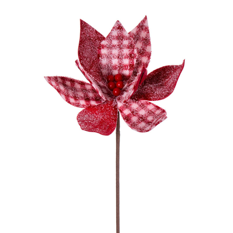 Tige de poinsettia