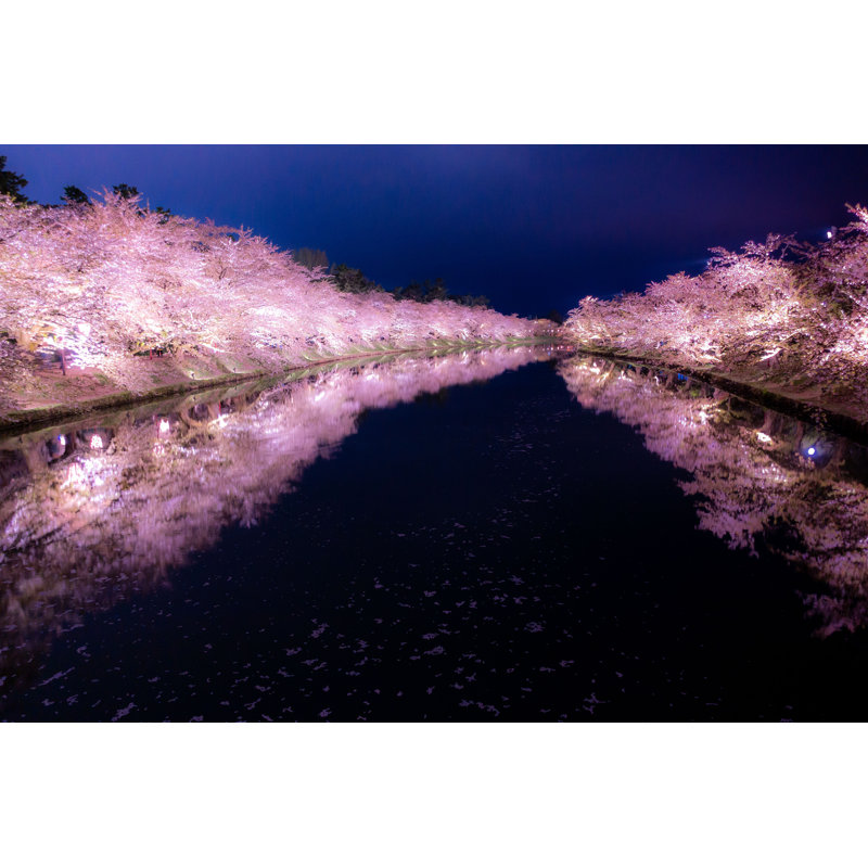 Cihan Night Sakura, Aomori, Japon par Fannrei - photographie sur toile tendue, H 12 po x l 18 po