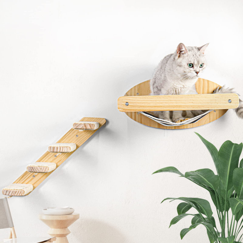 2Pcs Cat Wall Climbing Shelves