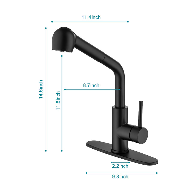 Robinet d'évier de cuisine à poignée simple avec douchette extractible, Noir mat