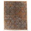 Rectangle Rectangle 7'11'' X 9'10" Area Rug