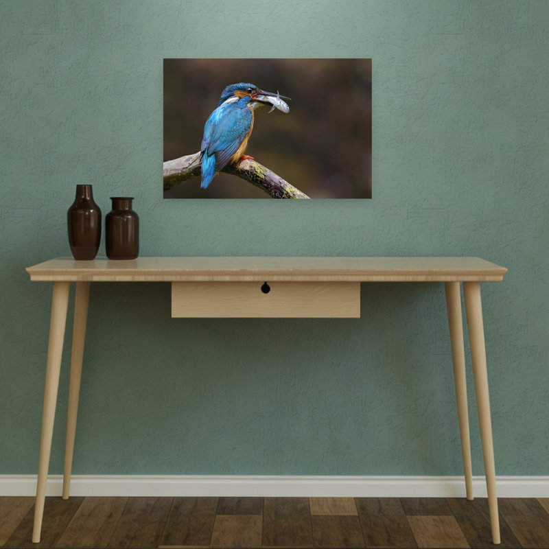 Kingfisher'S Fresh Catch Colorful Contemporary Bird Fish Nature Wildlife Wall Art Print 1 Piece Wrapped Canvas Wall Art