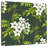 Harnek Jasmine Vines And Flowers-109358235