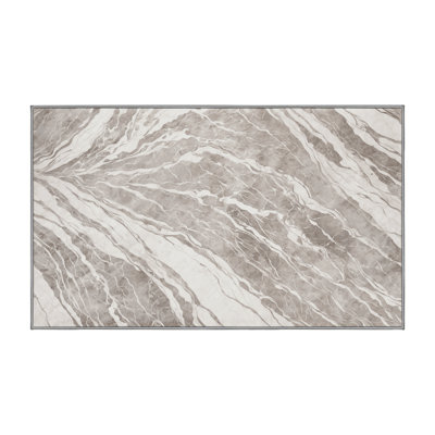 Machine Washable Gray Area Rug