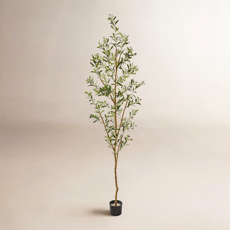 82'' Faux Olive Tree Tree in Planter, 77 inch
