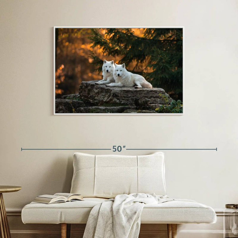 White Wolf Mates, Cadre flottant blanc, 40 po x 27 po