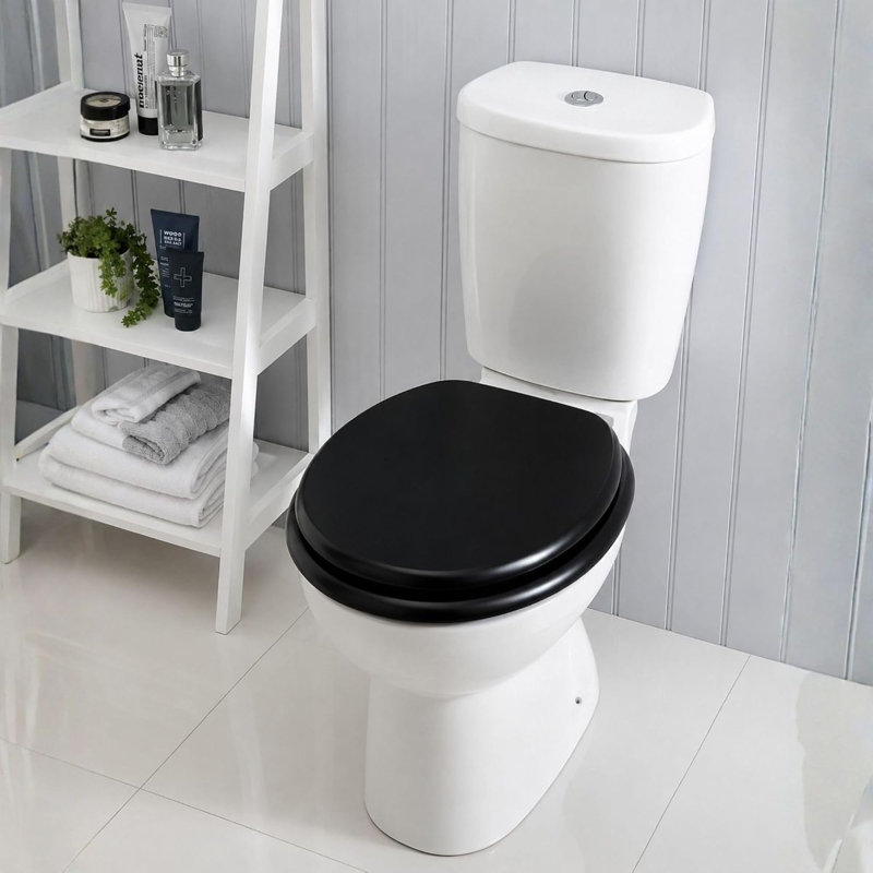 Actaeon Soft Close Elongated Standard Toilet Seat, White