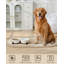 Anti-Skid Pet Bowl-114642038