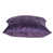 Purple is out of stock