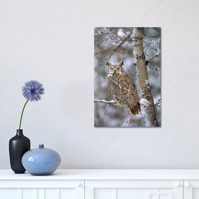 Great Horned Owl, Pale Form, Perching in a Snow-Covered Tree, British Columbia, Canada 1 Piece Wrapped Canvas Wall Art