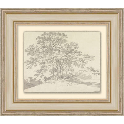 The Heirloom Tree