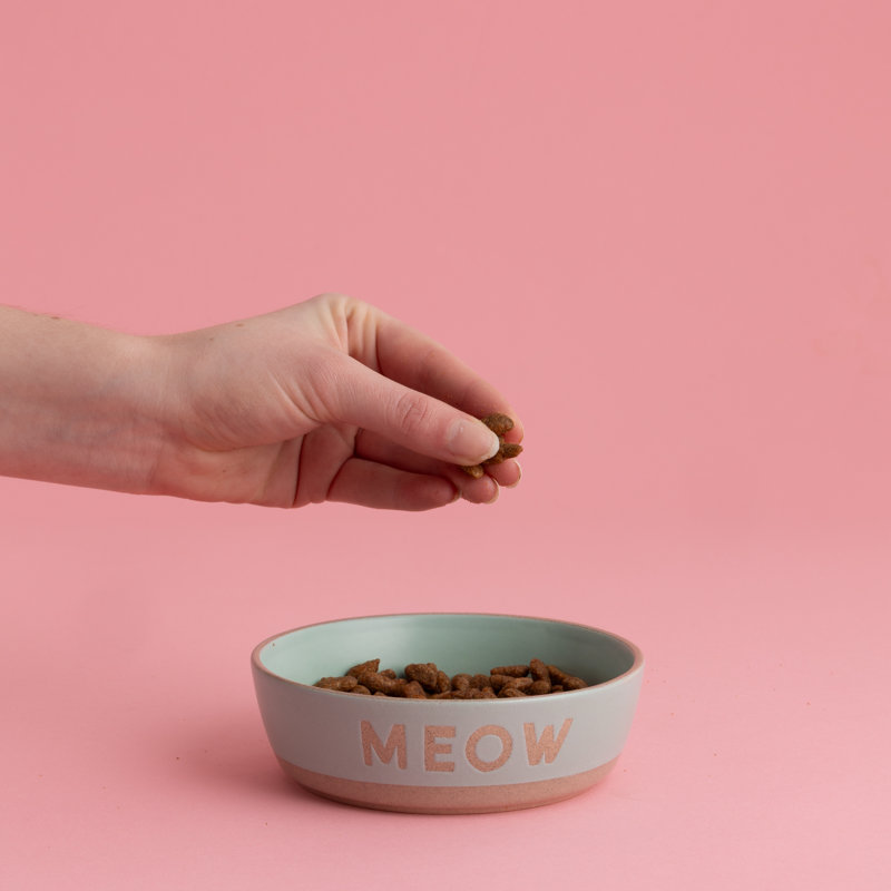 Mason Cash Meow Bowls 13cm