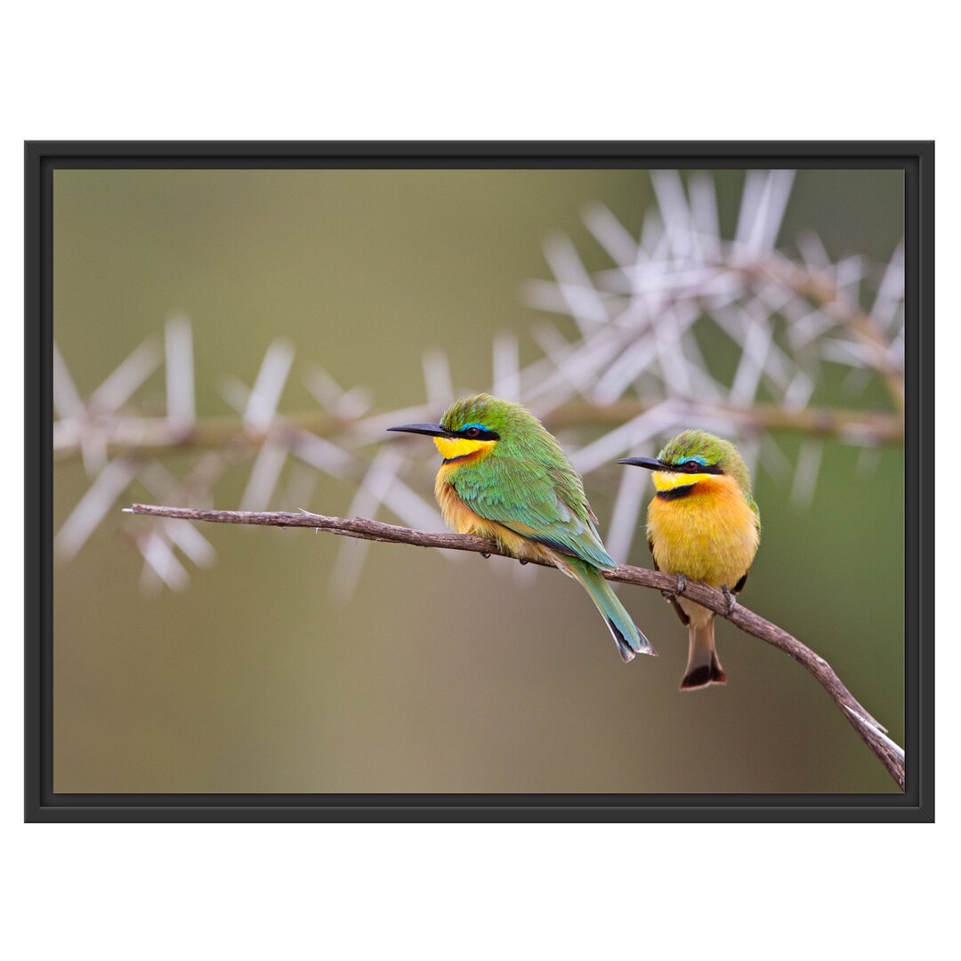 Gerahmtes Wandbild Vögel auf Ast