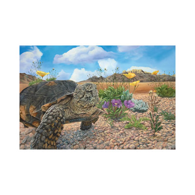Desert Tortoise by Laura Curtin - Wrapped Canvas Painting