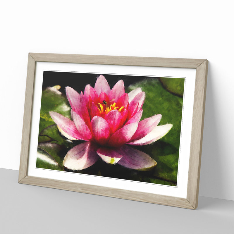 Pink Water Lily Flower Vol.3 - Framed Print, 48cm H x 65cm W x 2cm D, Oak Framed
