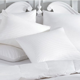 Cotton Pillow, Standard