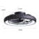 Juneann 20'' Flush Mount Ceiling Fan with LED Lights