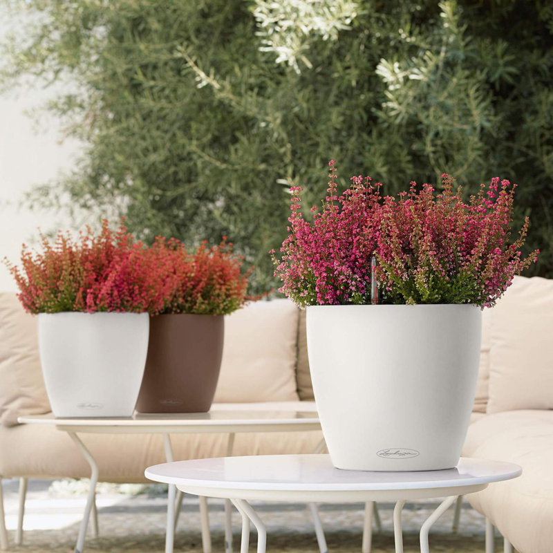 Classico Pot Planter, Sand Brown, 20.5cm H x 21.5cm W x 21.5cm D