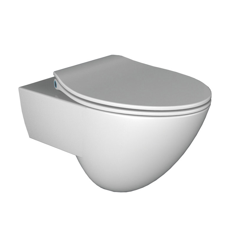 Suave 1 Gallons GPF High Efficiency Dual Flush Wall Mounted Kit