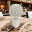 Elegant Orion Plant & Flower Sculpture – Perfect Centerpiece for Dining, Living Room, or Workspace Décor-1011869701