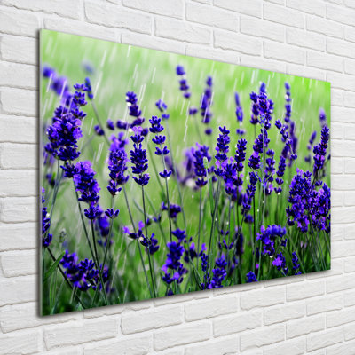 Lavender - No Frame Print on Glass