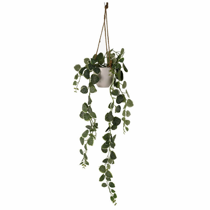 Hanging Plants 90cm Faux String Of Hearts (Ceropegia Woodii) Plant in Planter