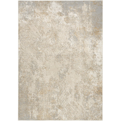 5' X 7' Gray Abstract Area Rug