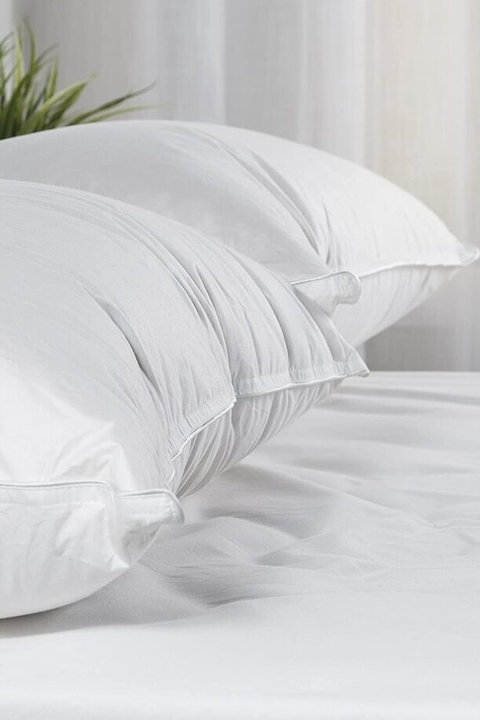 Standard Bed Pillows