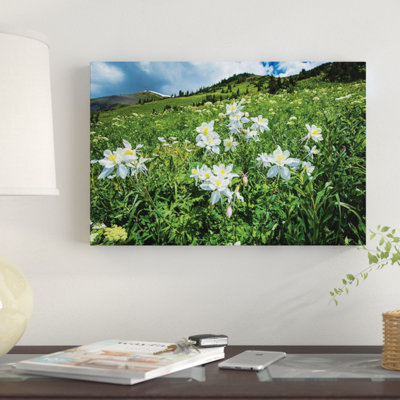 «Wildflowers Growing in a Field, Crêté Butte, Colorado, États-Unis», reproduction de photo sur toile
