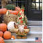 Thanksgiving Decorative Accent