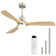 Ceiling Fan with LED Lights
