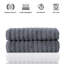 Serviette de bain en coton Hamrick-309267372