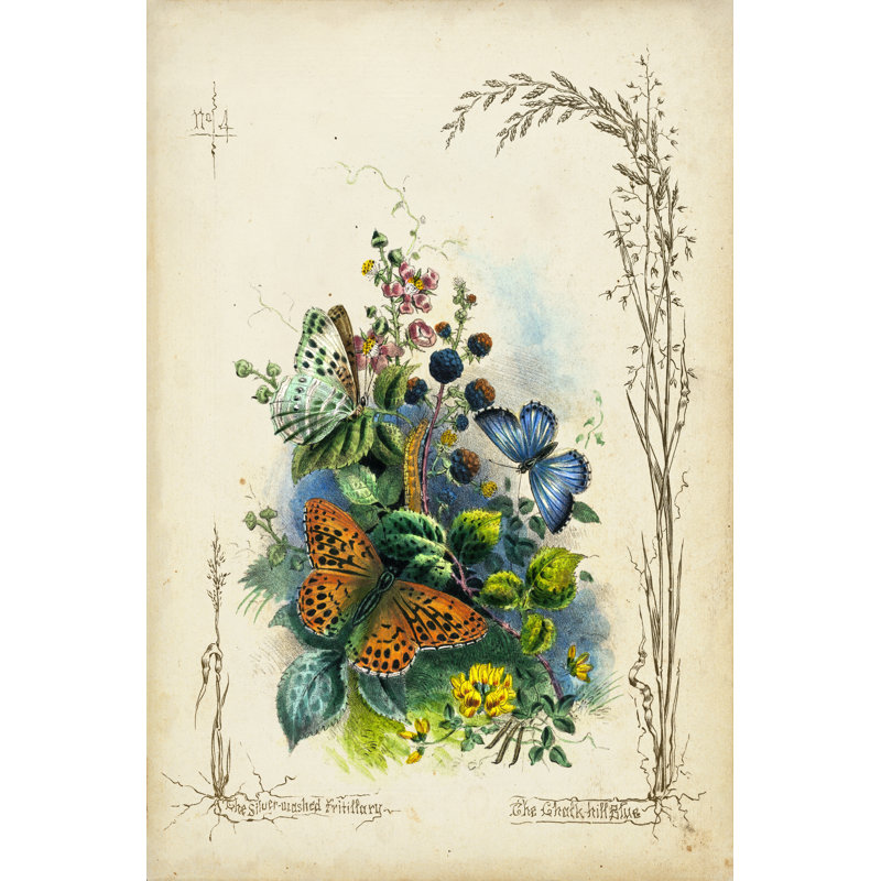 Victor. Butterfly Garden VII - Wrapped Canvas Print, 76cm H x 51cm W x 3.8cm D