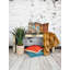 Dare Fabric-53164819