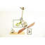 Ayanna 46cm Ceiling Fan-9746706
