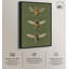 Anatomie de l'abeille -934130312-934130307